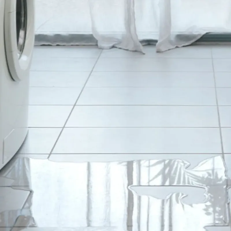 Appliance Leak Cleanup in Plumas Lake, CA